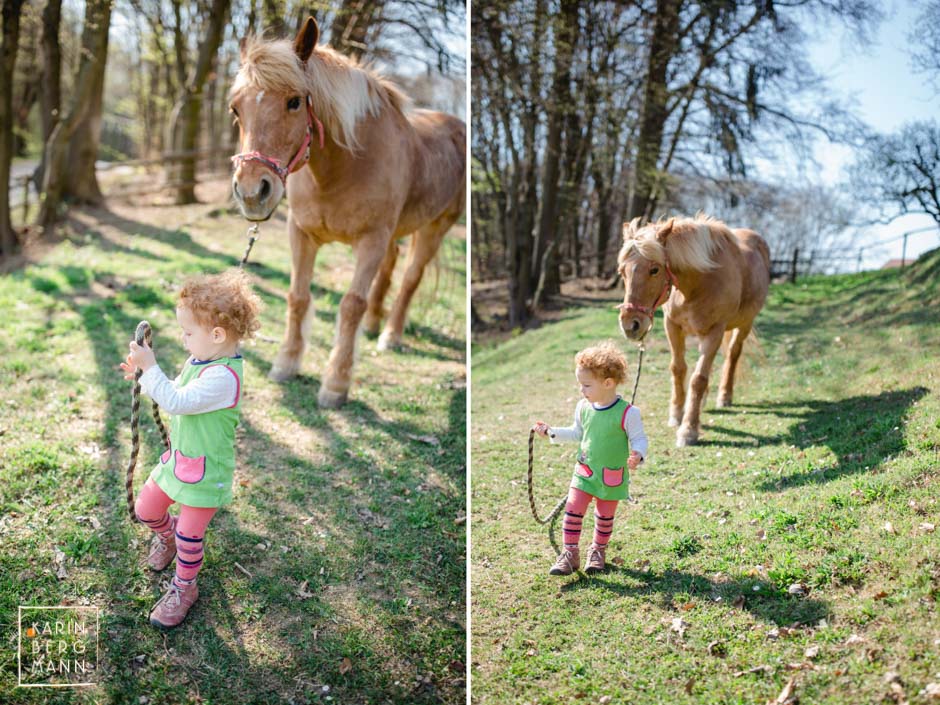 ich gehe mit meinem Pferd :: © Karin Bergmann