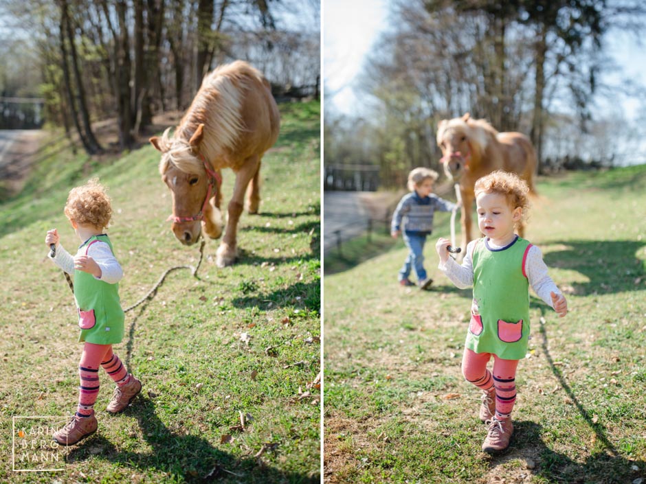 Kids mit Pferden :: © Karin Bergmann