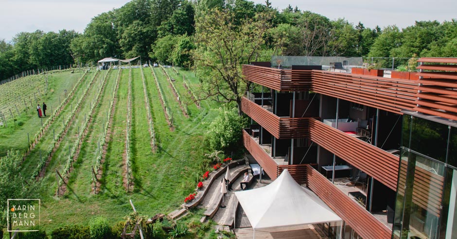 Weingartenhotel Harkamp, Blick von der Terrasse auf den Weinberg :: © Karin Bergmann