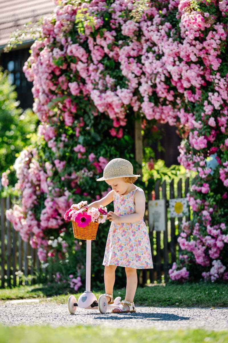 Family photos as a souvenir, young girl with scooter in front of a big blooming rosebush, all in pink and green :: photo copyright Karin Bergmann