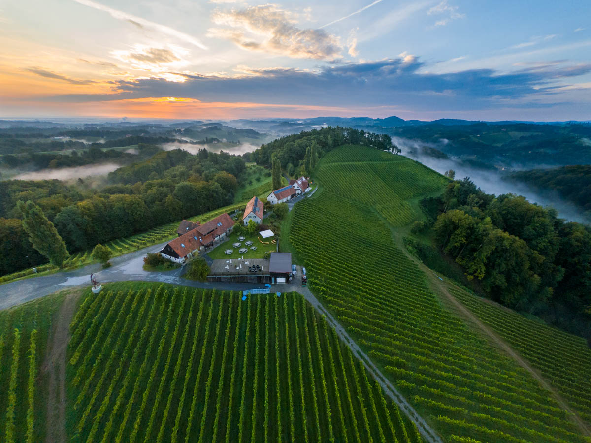 Lifestyle portrait, very impressive morning atmosphere in the vineyards of southern Styria, Austria :: photo copyright Karin Bergmann