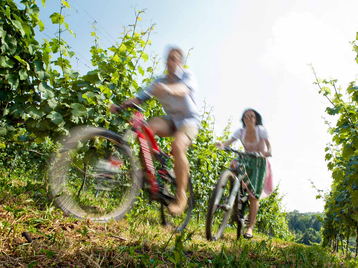 Lifestyle portrait, a man and a woman cycling uphill through the vineyard :: photo copyright Karin Bergmann